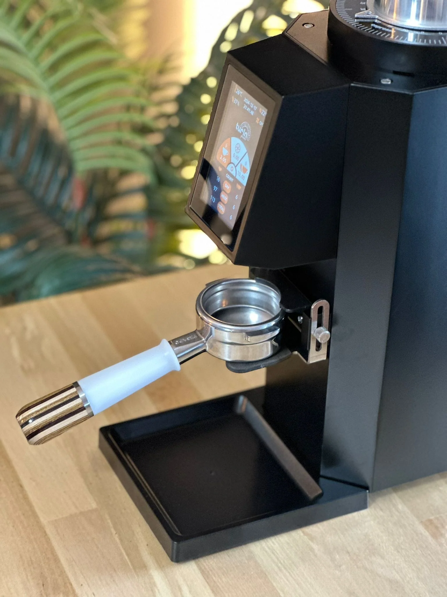 Turin ZF83 Commercial Espresso Grinder - Image 41